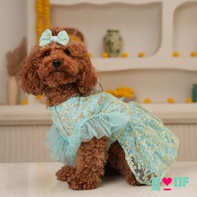 SEA BLUE SEQUINS EMBROIDERED DRESS + BONE RAKHI FOR DOGS AND CATS