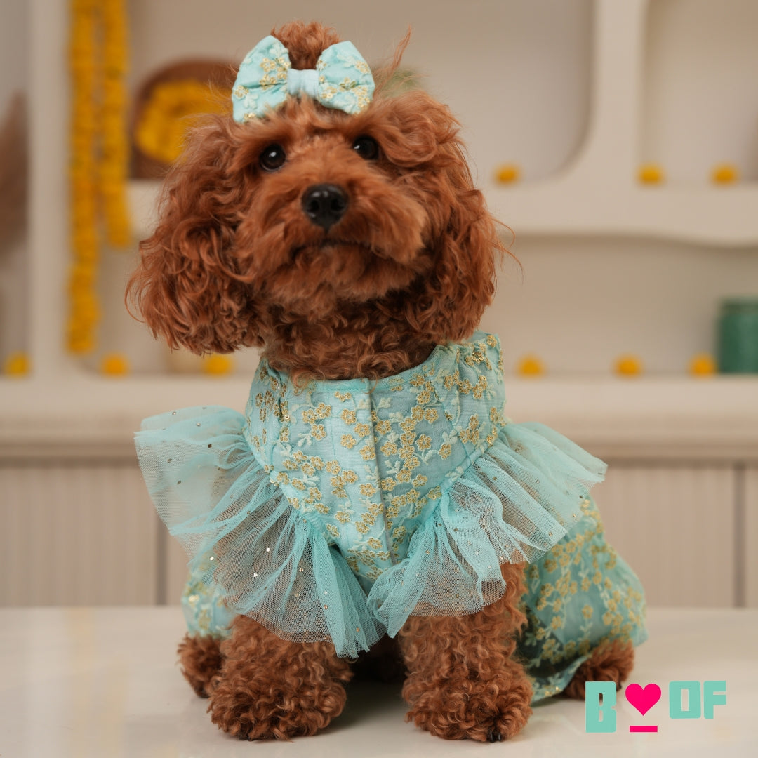 SEA BLUE SEQUINS EMBROIDERED DOG ANARKALI