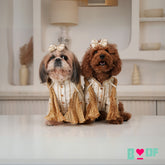 OFF-WHITE ZARI WORK DOG KURTA