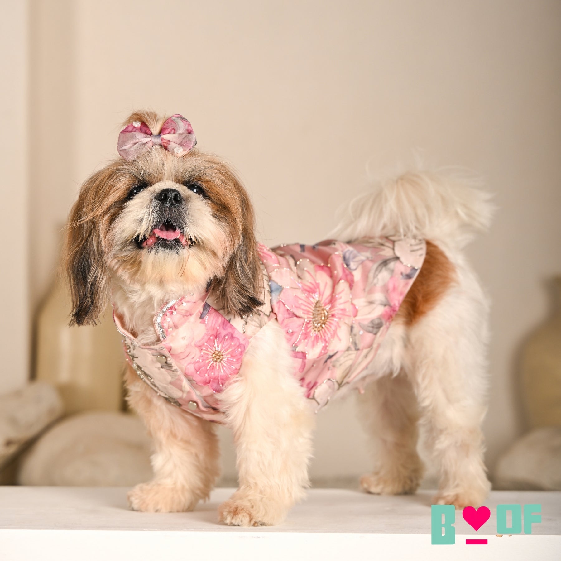 GULNOOR PRINTED HAND EMBROIDERED SHERWANI FOR DOGS AND CATS