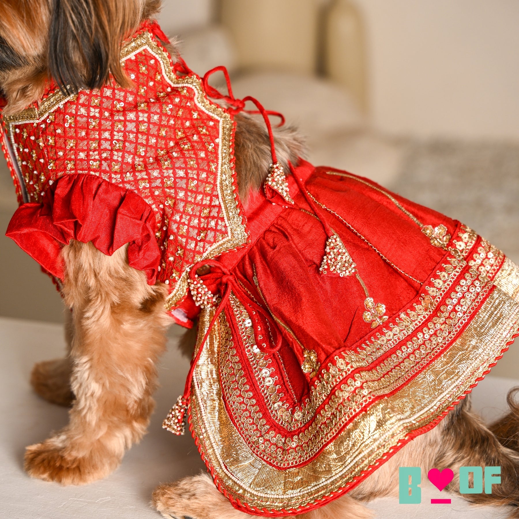 SURKH LAAL SHAHI LEHENGA FOR DOGS AND CATS