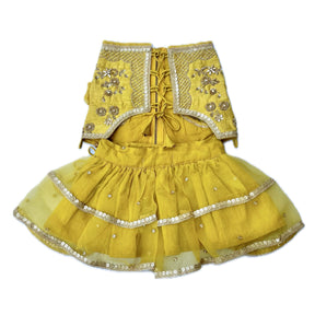 YELLOW HAND EMBROIDERED GOLD FLOWERS DOG LEHENGA