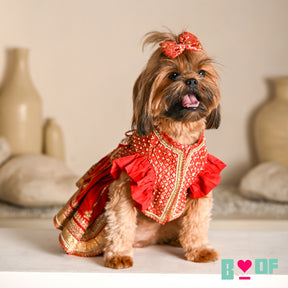 SURKH LAAL SHAHI LEHENGA FOR DOGS AND CATS