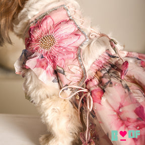 GULNOOR PRINTED HAND EMBROIDERED LEHENGA FOR DOGS AND CATS