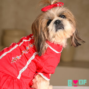 BLUSH RED FLORAL EMBROIDERED DRESS FOR DOGS AND CATS