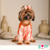 ORANGE TIE & DYE BUTI WAISTCOAT STYLE KURTA FOR DOGS AND CATS