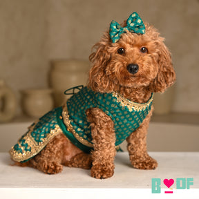 EMERALD GREEN ZARI LACE BROCADE LEHENGA FOR DOGS AND CATS