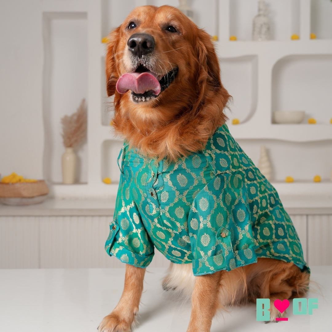 GREEN TWO TONE KURTA + BONE RAKHI FOR DOGS AND CATS