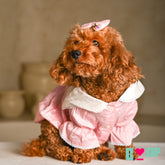 DAINTY DAISY FLOWER EMBROIDERED DRESS FOR DOGS AND CATS
