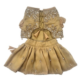 GOLDEN HOUR HAND EMBROIDERED LEHENGA FOR DOGS AND CATS