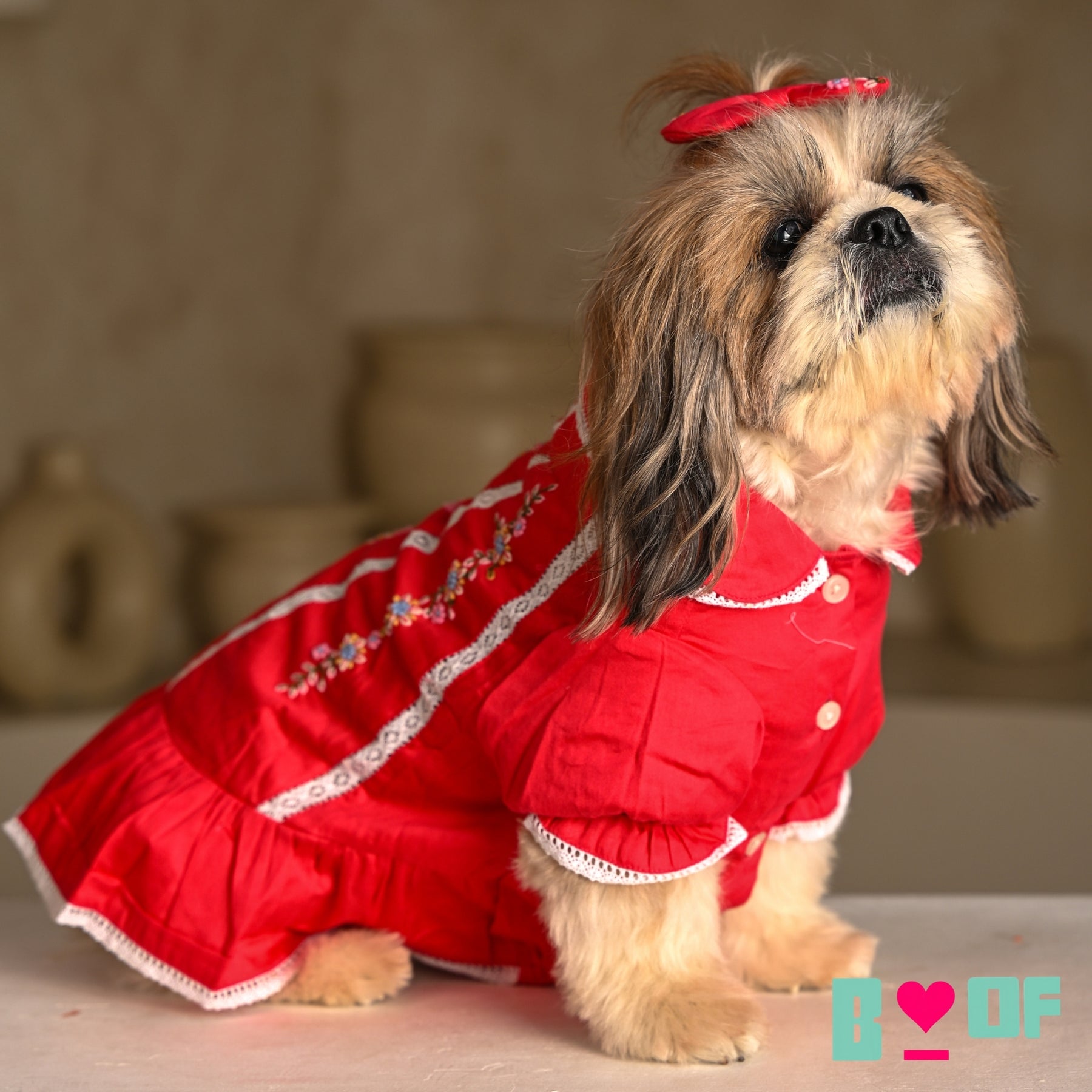 BLUSH RED FLORAL EMBROIDERED DRESS FOR DOGS AND CATS