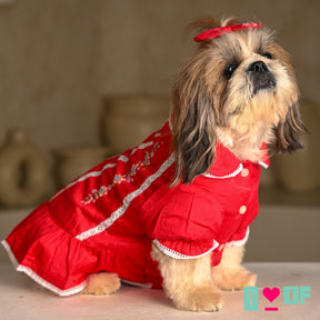 BLUSH RED FLORAL EMBROIDERED DRESS FOR DOGS AND CATS