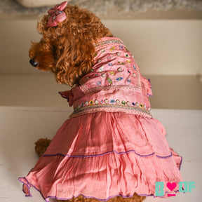 POWDER PINK COLOUR FLAKE ANARKALI FOR DOGS AND CATS