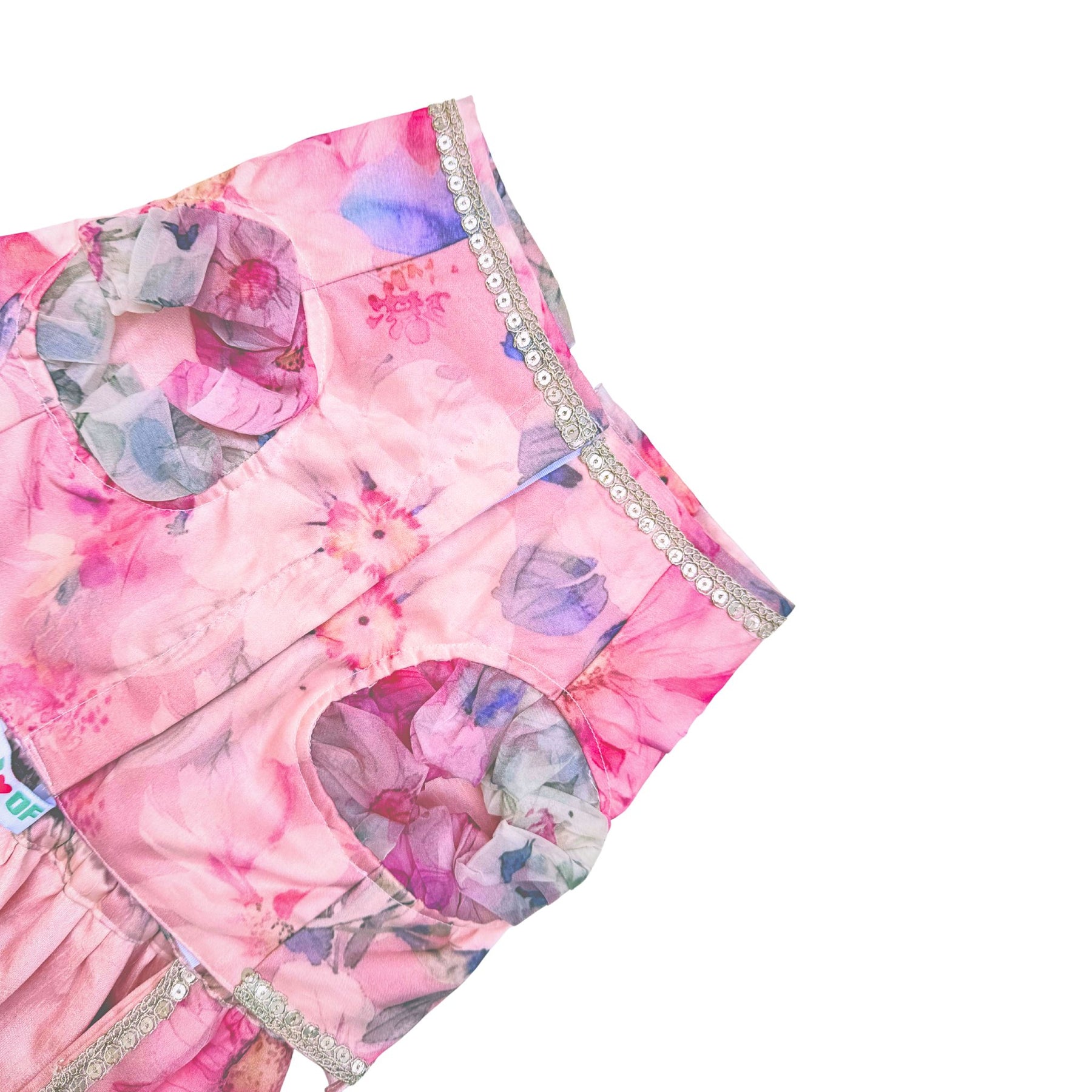 GULNOOR PRINTED LEHENGA FOR DOGS AND CATS