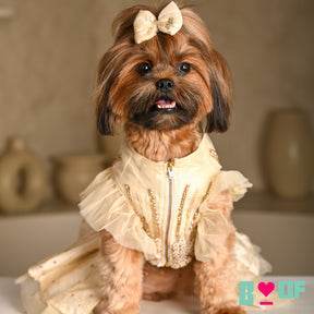 GOLD JEWELLED SWAROVSKI DOG LEHENGA