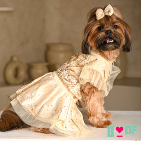 GOLD JEWELLED SWAROVSKI DOG LEHENGA