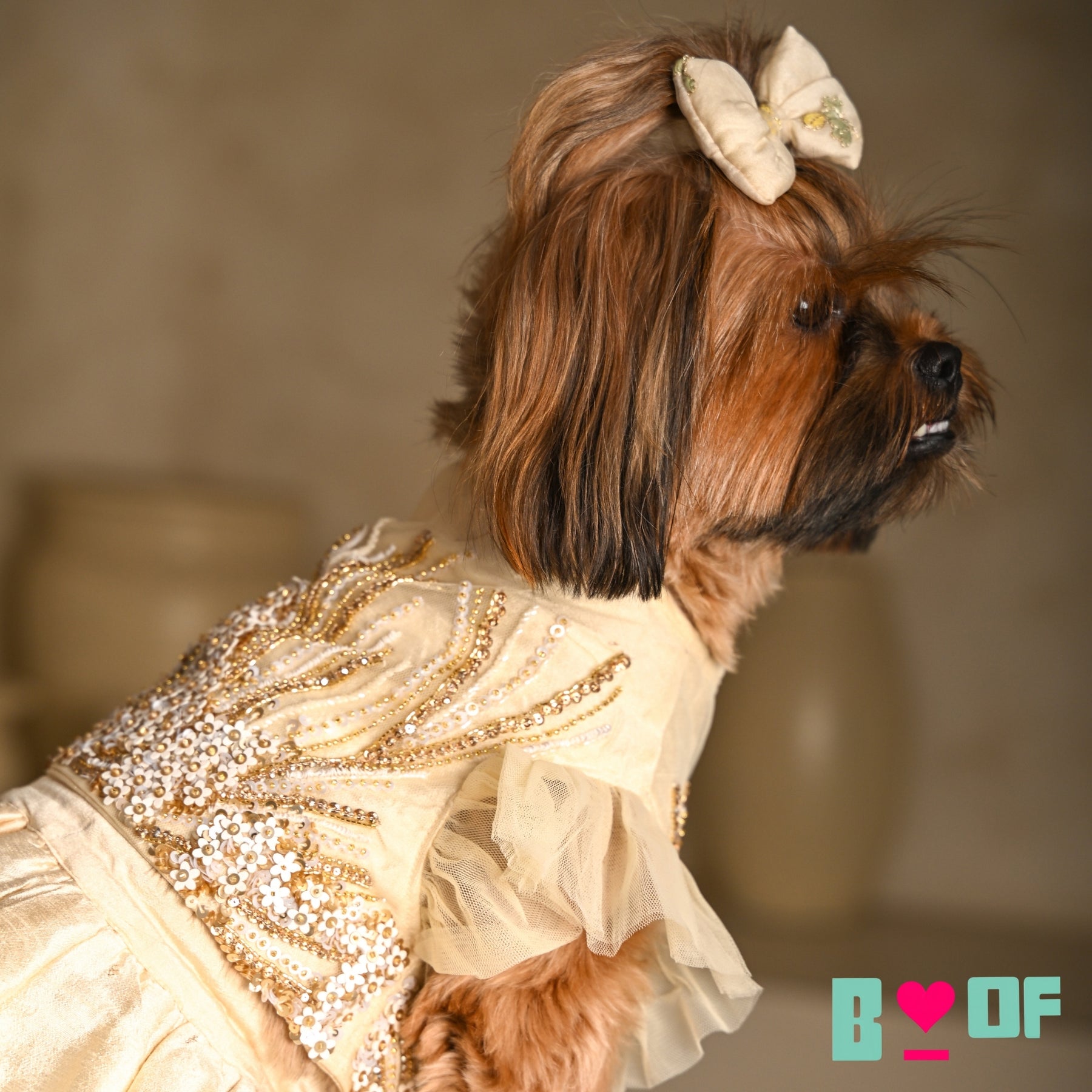 GOLD JEWELLED SWAROVSKI DOG LEHENGA