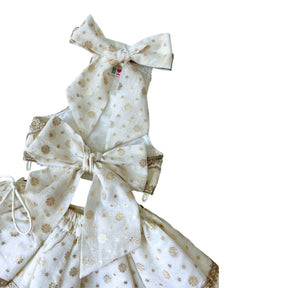 OFF-WHITE BROCADE GOTA EMBROIDERED LEHENGA FOR DOGS AND CATS