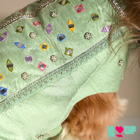 POWDER GREEN COLOUR FLAKE WAISTCOAT FOR DOGS AND CATS
