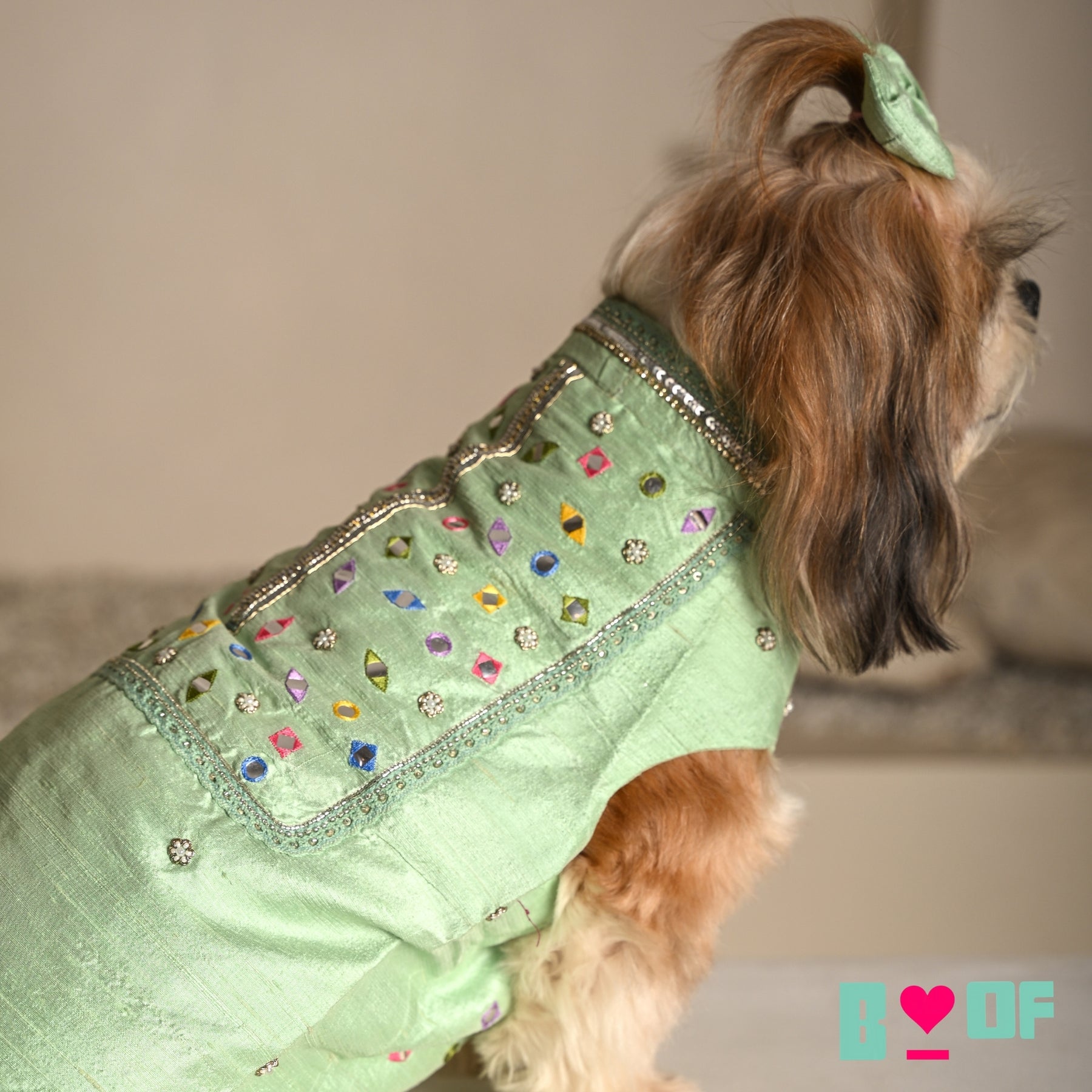 POWDER GREEN COLOUR FLAKE WAISTCOAT FOR DOGS AND CATS