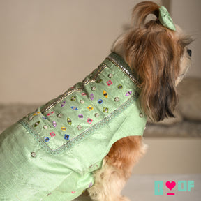 POWDER GREEN COLOUR FLAKE WAISTCOAT FOR DOGS AND CATS