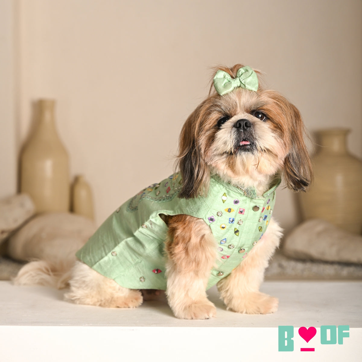 POWDER GREEN COLOUR FLAKE WAISTCOAT FOR DOGS AND CATS