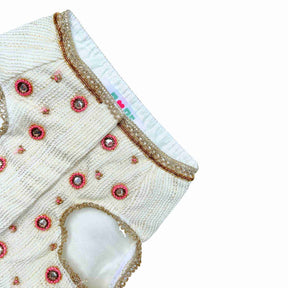 MEHER OFF-WHITE HAND EMBROIDERED LEHENGA FOR DOGS AND CATS