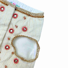 MEHER OFF-WHITE HAND EMBROIDERED LEHENGA FOR DOGS AND CATS