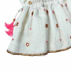 MEHER OFF-WHITE HAND EMBROIDERED LEHENGA FOR DOGS AND CATS
