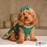 EMERALD GREEN ZARI LACE BROCADE LEHENGA FOR DOGS AND CATS
