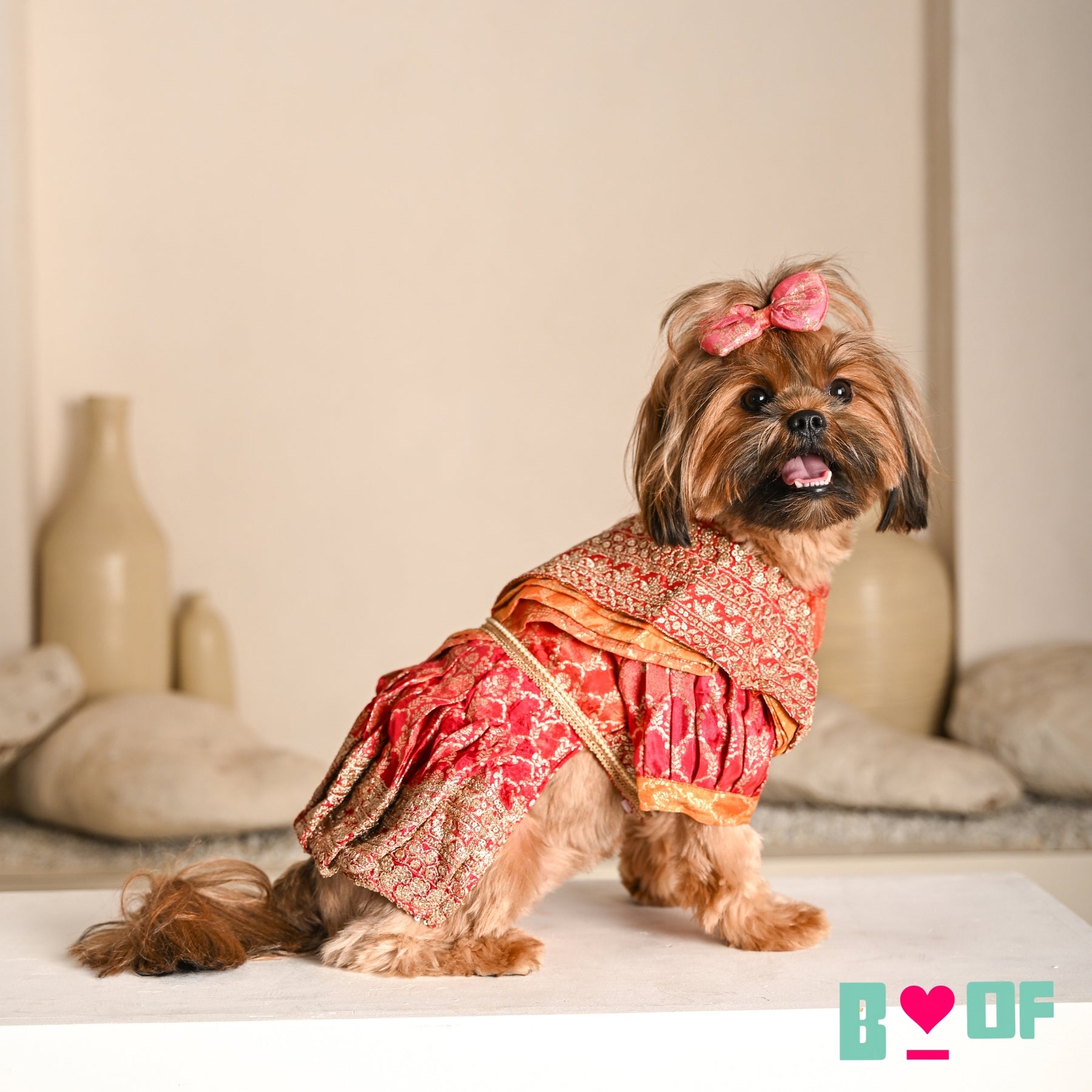 REDDISH GOLDEN BANARASI SAREE FOR DOGS AND CATS