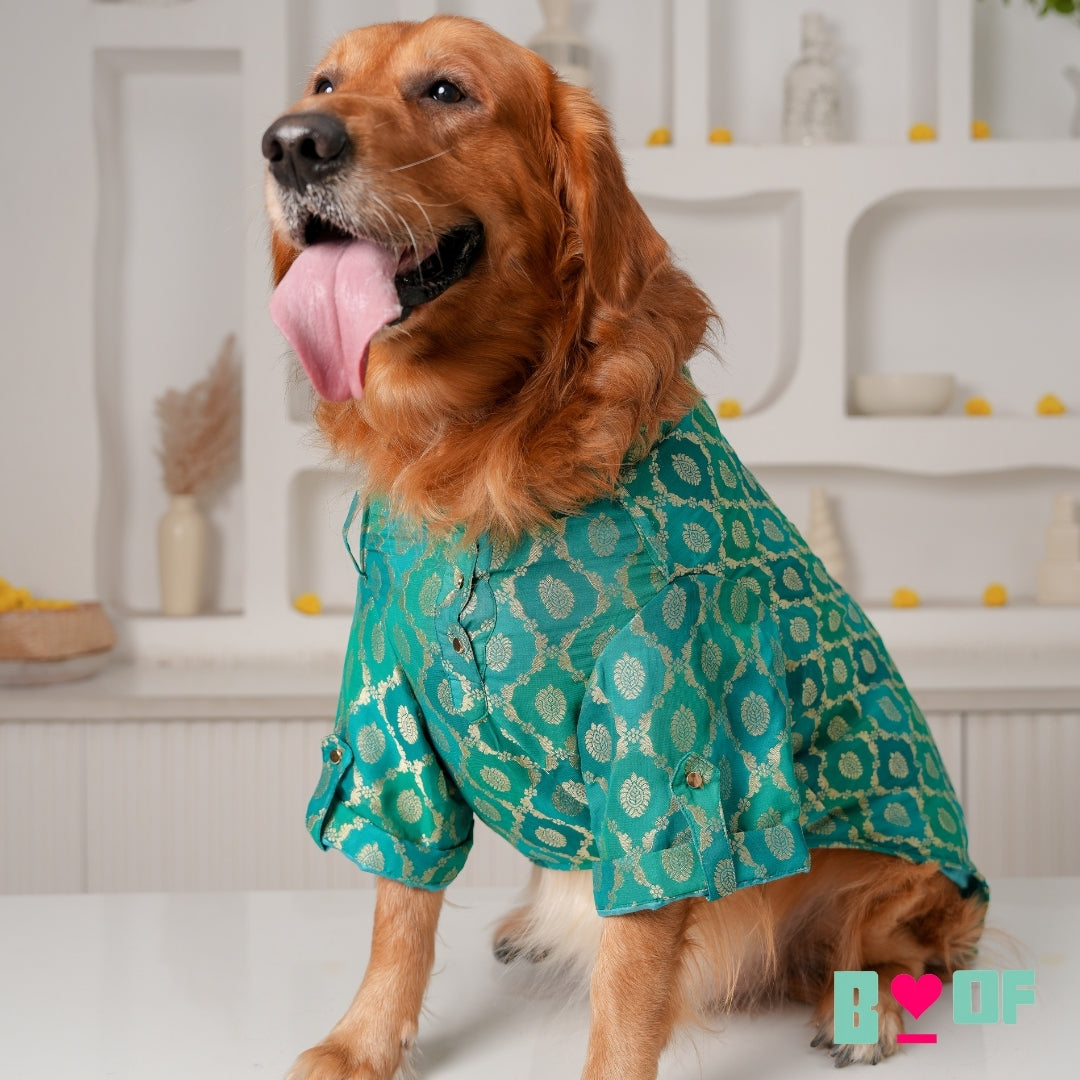 GREEN TWO TONE DOG KURTA - Main Image