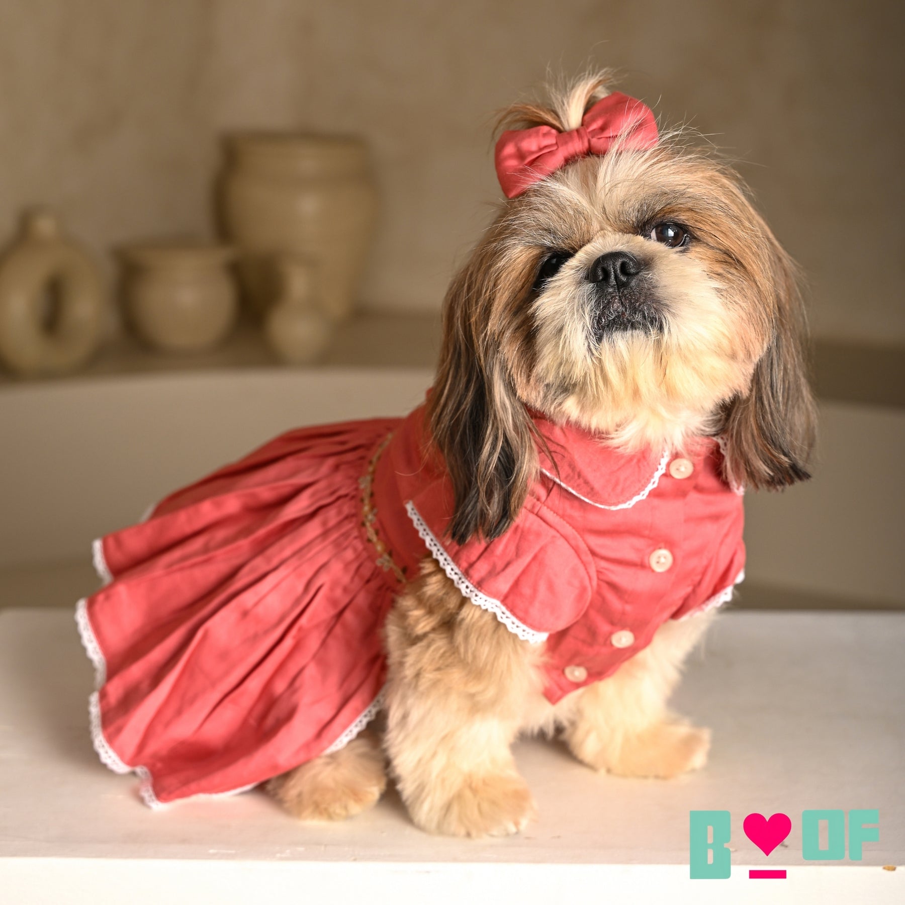 SWEETHEART SPARROW EMBROIDERED DRESS FOR DOGS AND CATS