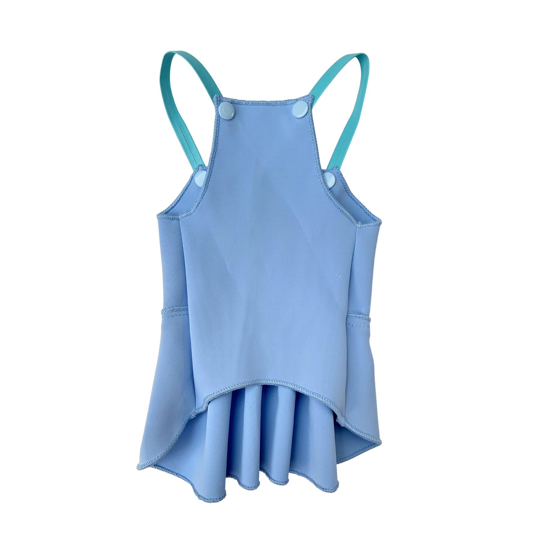 BLUE PAW-DA LEATHER STRAP DOG DRESS