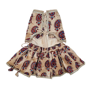BEIGE PAISLEY BUTI LEHENGA FOR DOGS AND CATS