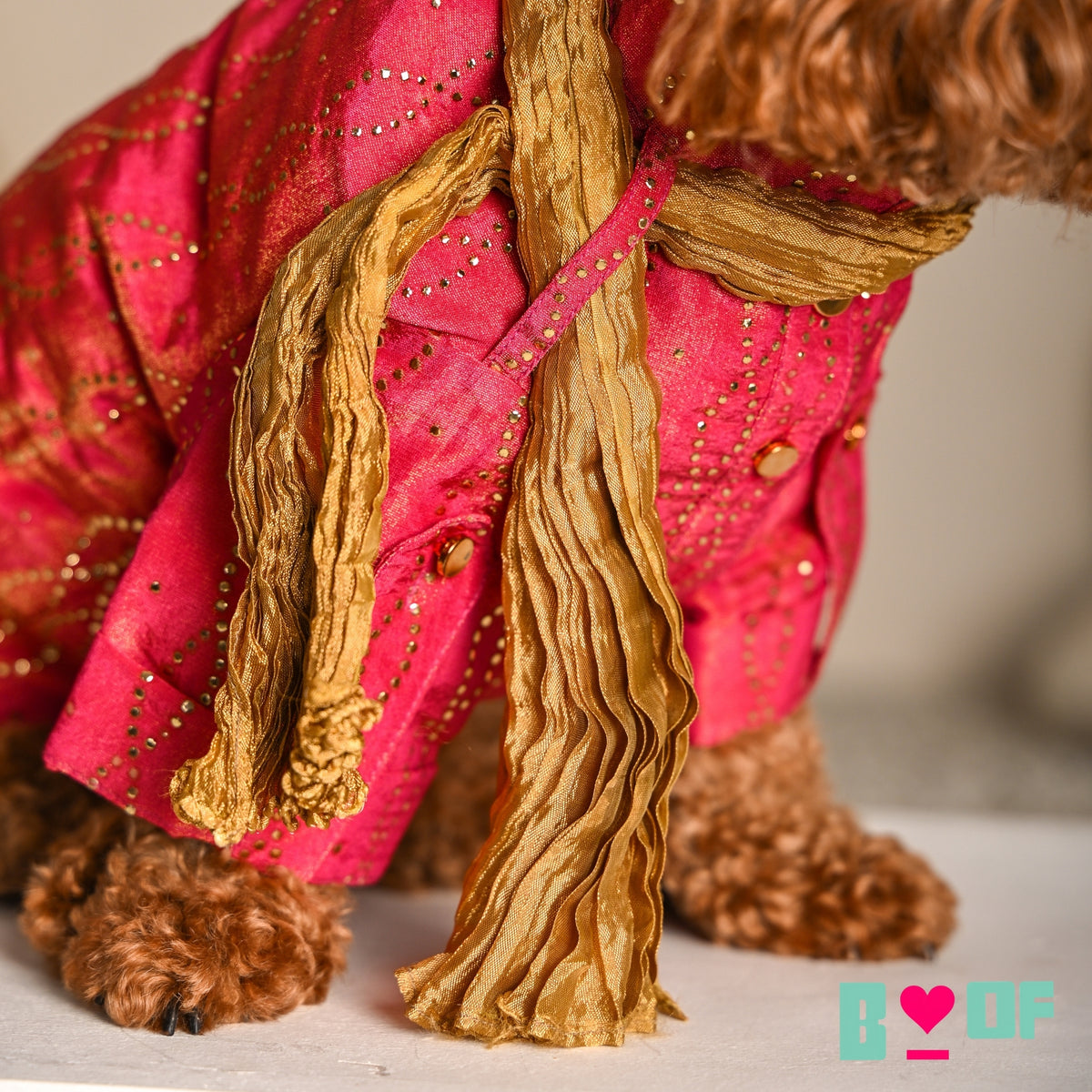 RUBY PINK MUKAISH WORK DOG KURTA