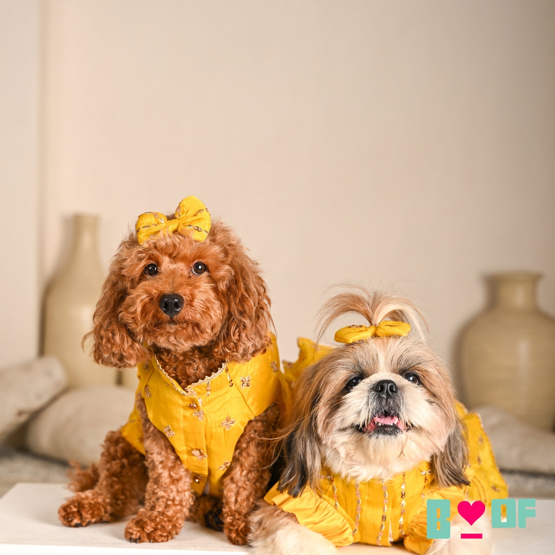 YELLOW FESTIVE ZARI BUTI LEHENGA FOR DOGS AND CATS