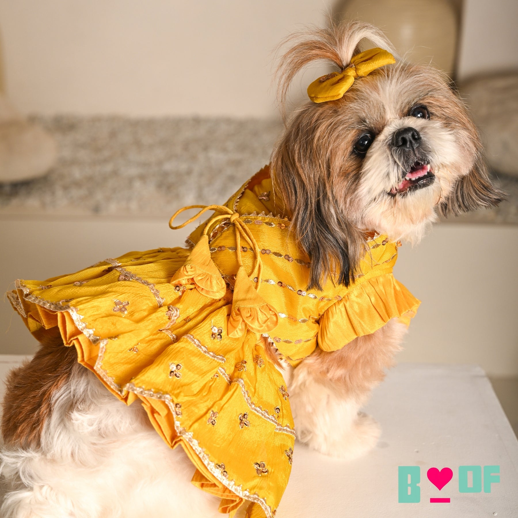 YELLOW FESTIVE ZARI BUTI LEHENGA FOR DOGS AND CATS