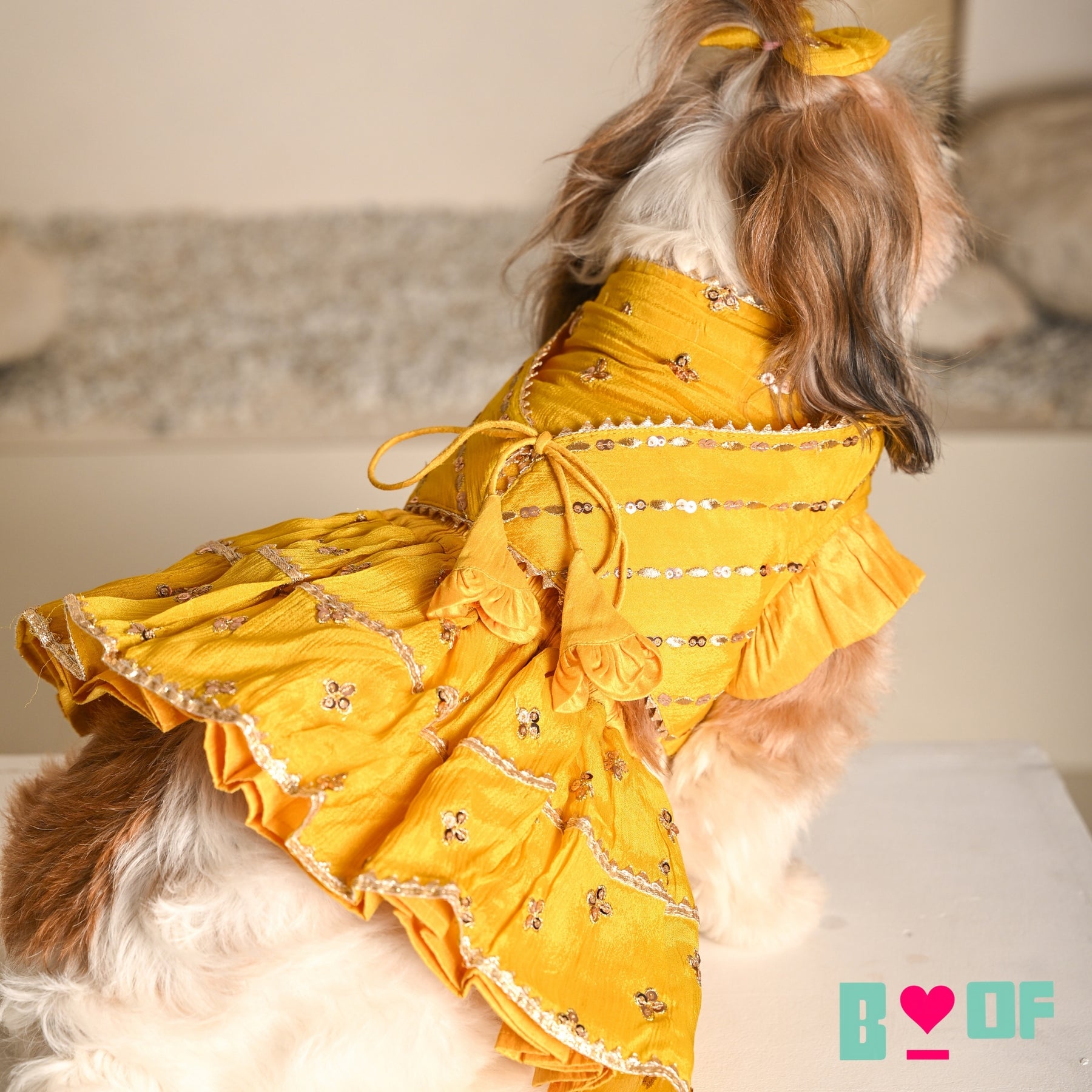 YELLOW FESTIVE ZARI BUTI LEHENGA FOR DOGS AND CATS