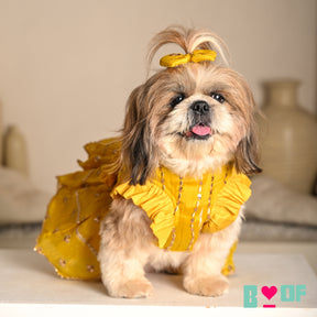 YELLOW FESTIVE ZARI BUTI LEHENGA FOR DOGS AND CATS