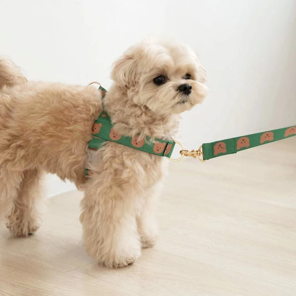 TEDDY HARNESS + LEASH