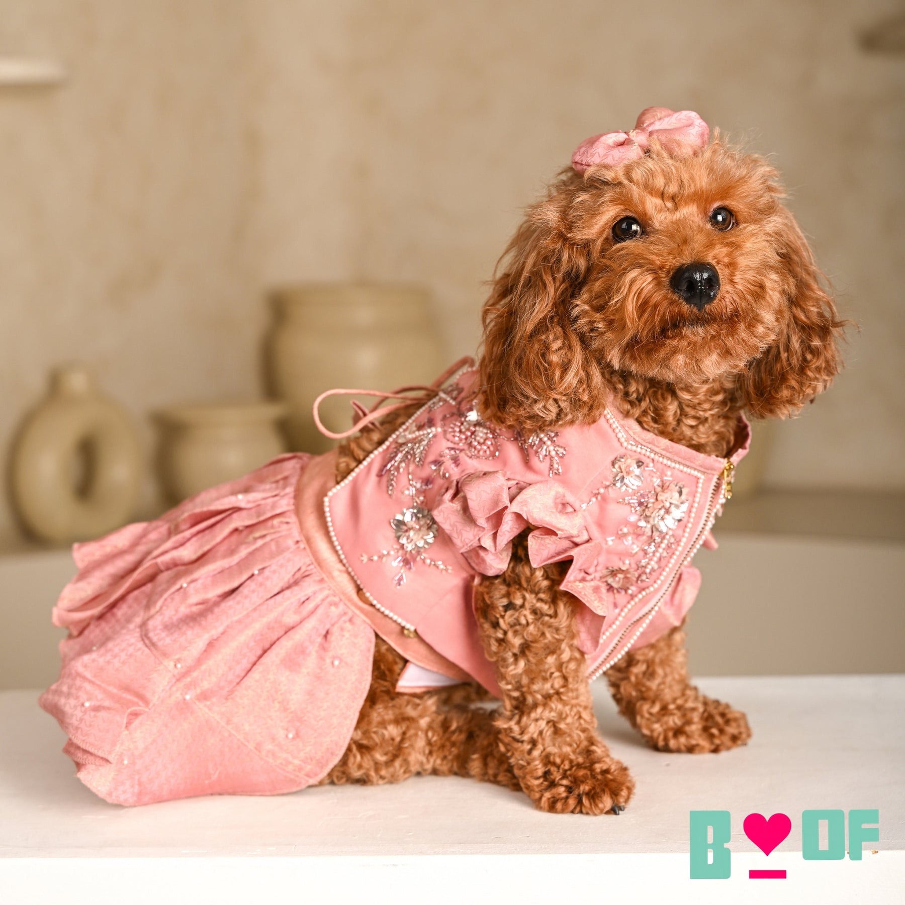 GULMARG PEARL PINK HAND EMBROIDERED DOG LEHENGA