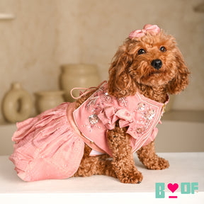 GULMARG PEARL PINK HAND EMBROIDERED DOG LEHENGA