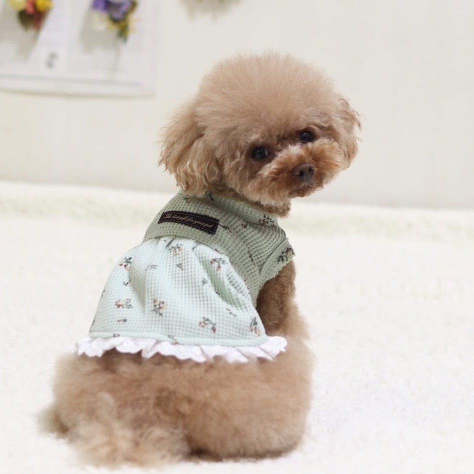 DAINTY FLORAL SLEEVELESS DOG DRESS