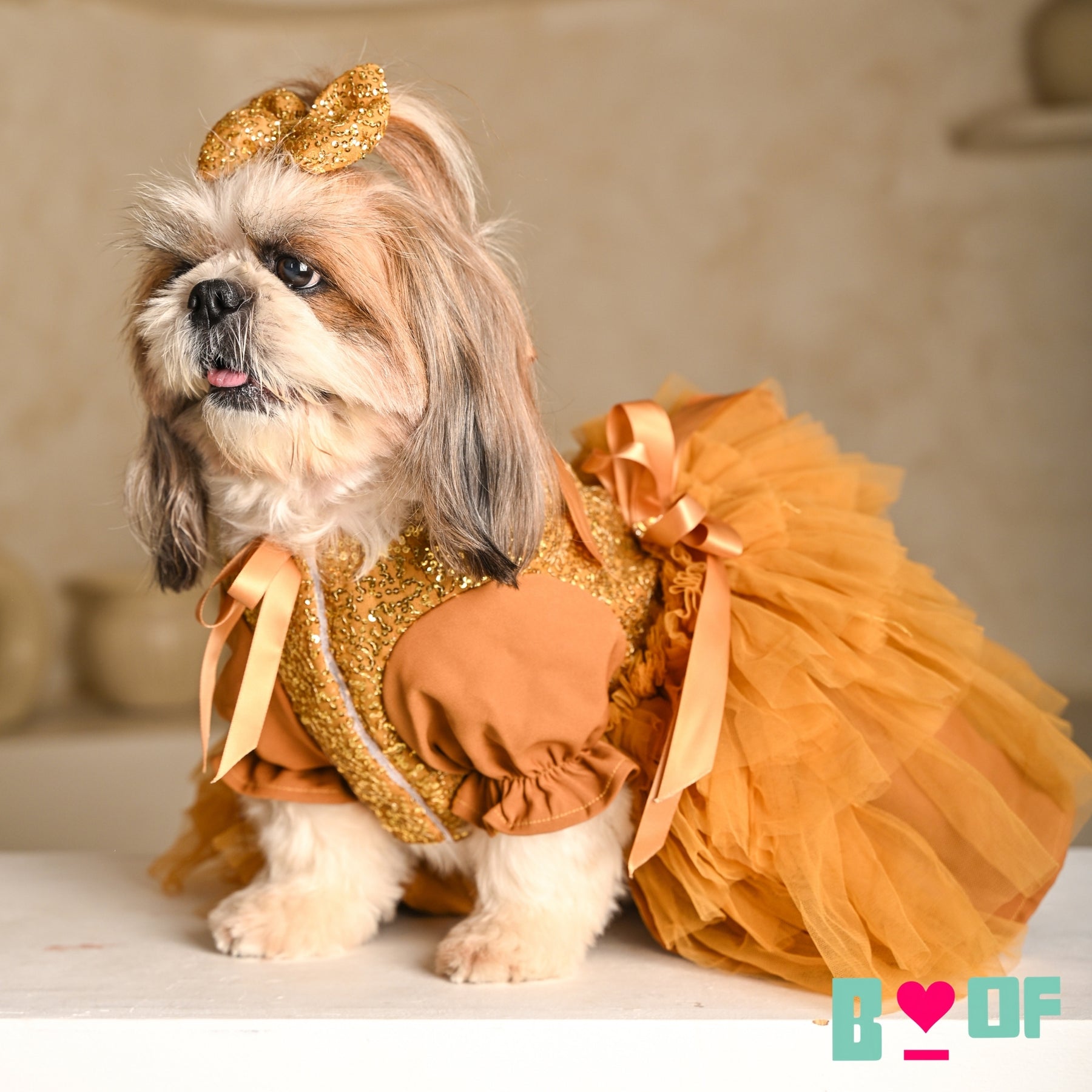 GOLD SEQUINS GEMSTONE DOG DRESS