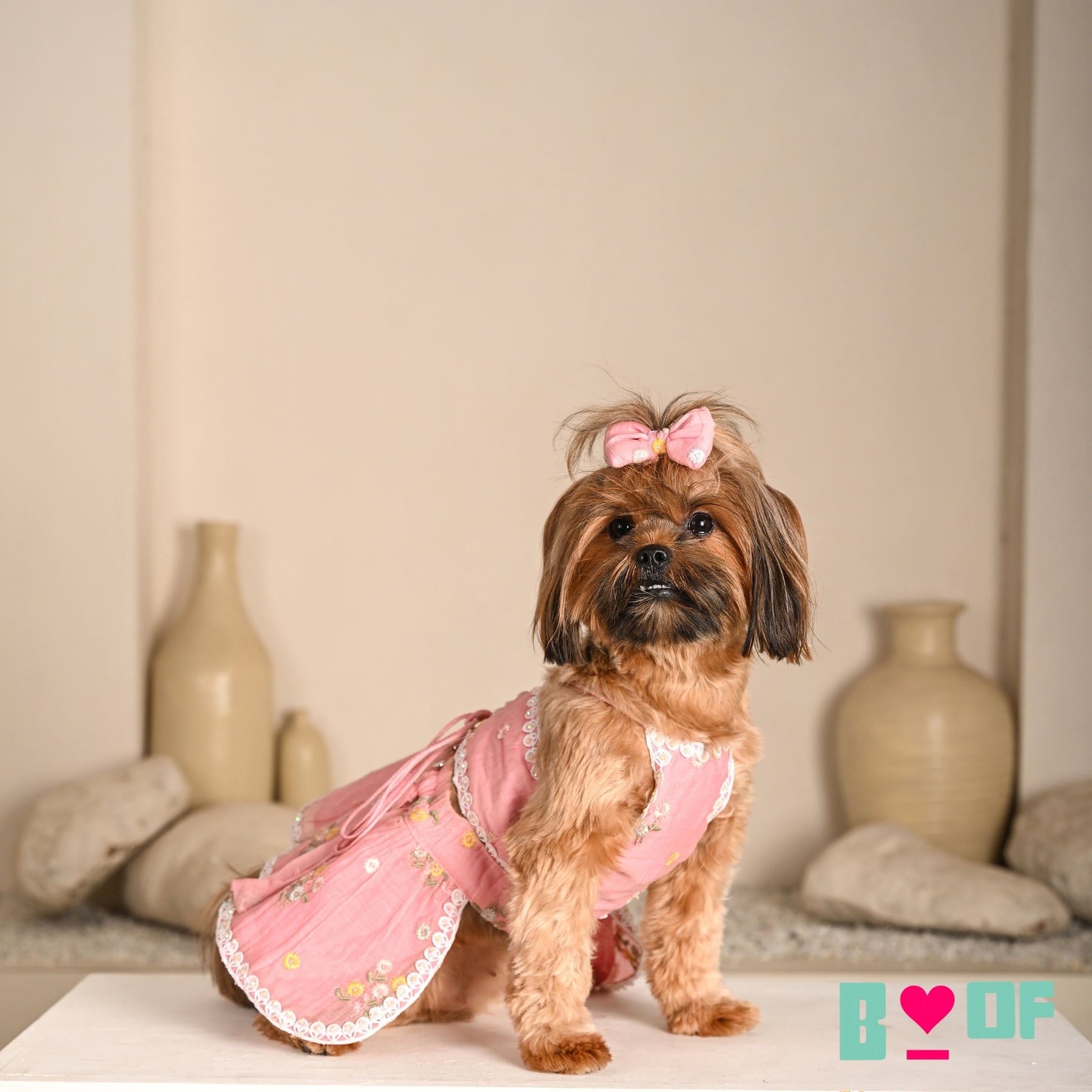 PINK FLOWER EMBROIDERED LEHENGA + LIGHT PINK PEARL RAKHI FOR DOGS AND CATS
