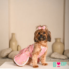 PINK FLOWER EMBROIDERED LEHENGA + LIGHT PINK PEARL RAKHI FOR DOGS AND CATS