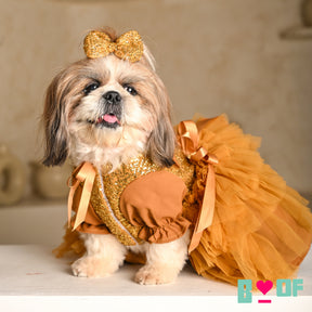 GOLD SEQUINS GEMSTONE DOG DRESS