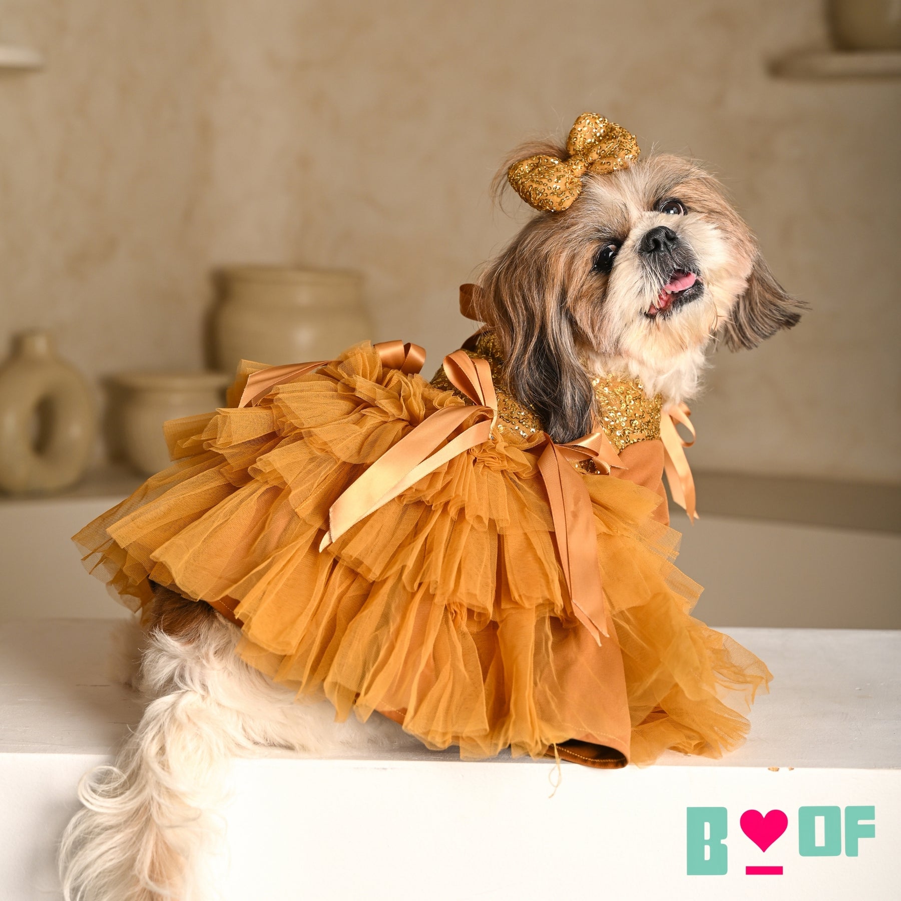GOLD SEQUINS GEMSTONE DOG DRESS