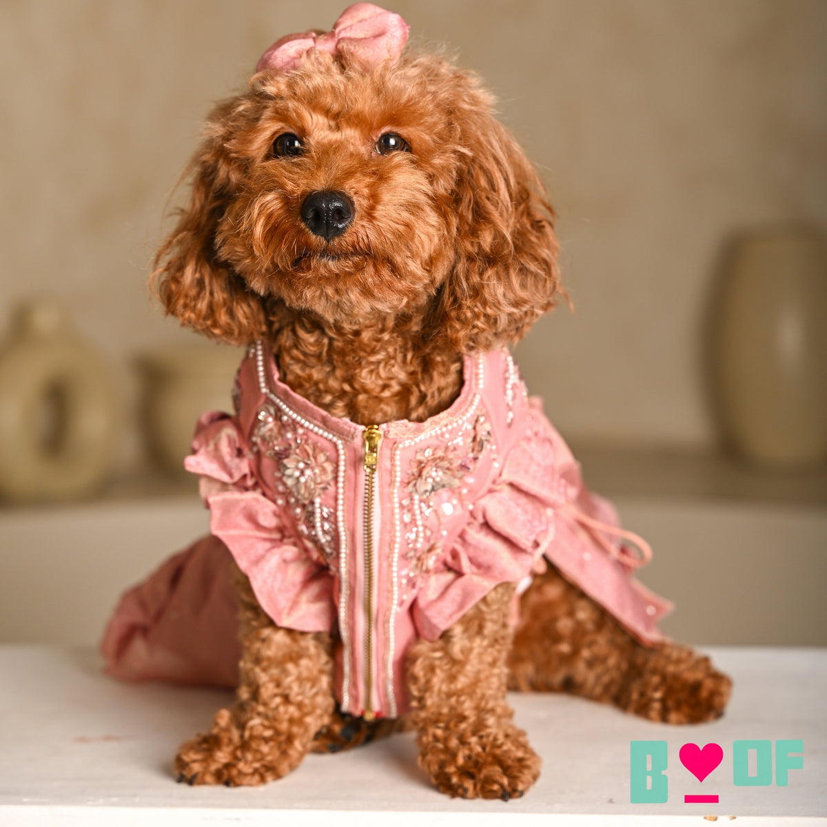 GULMARG PEARL PINK HAND EMBROIDERED DOG LEHENGA